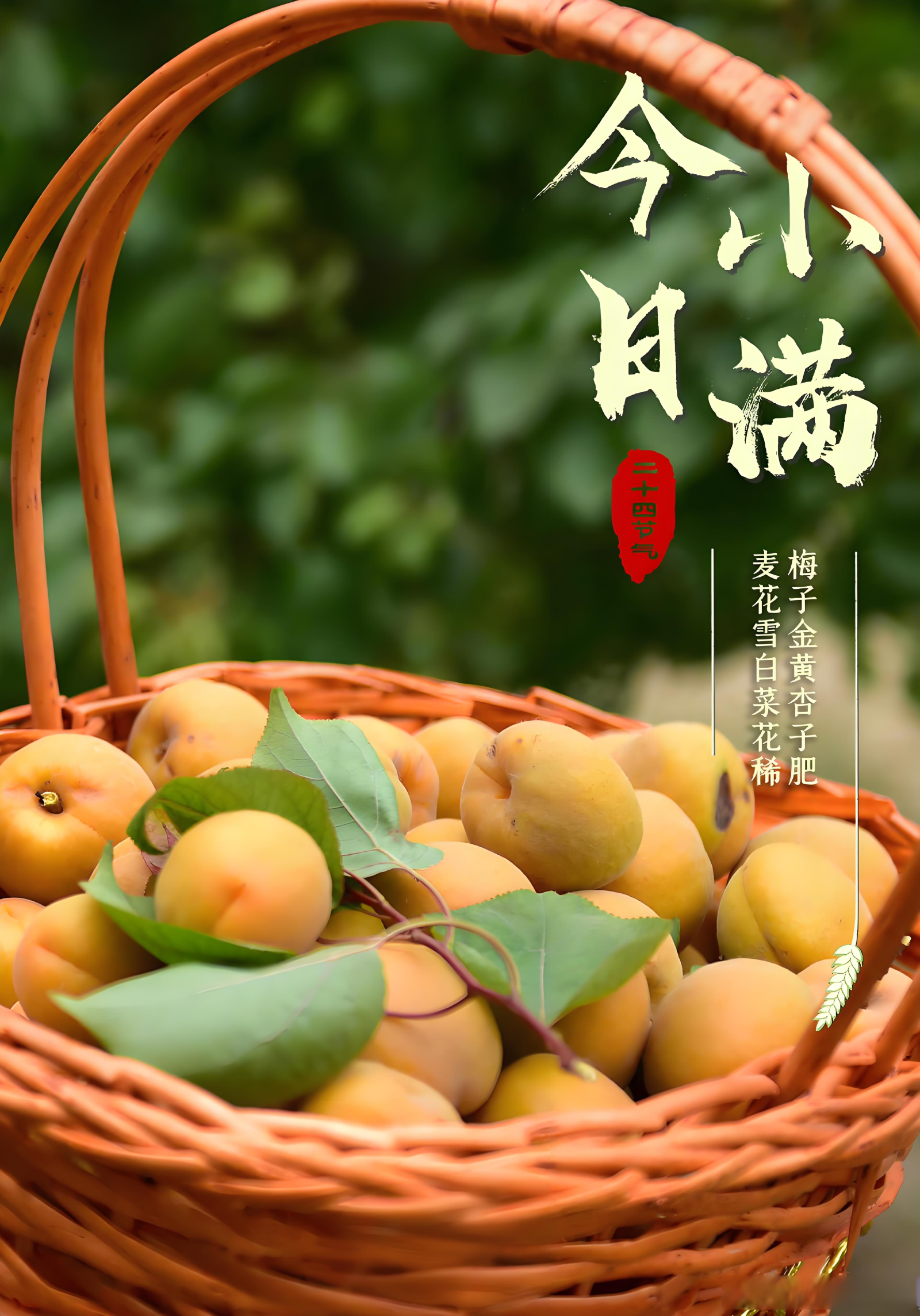 今日小满 降雨增多,户外防水扩音器推荐